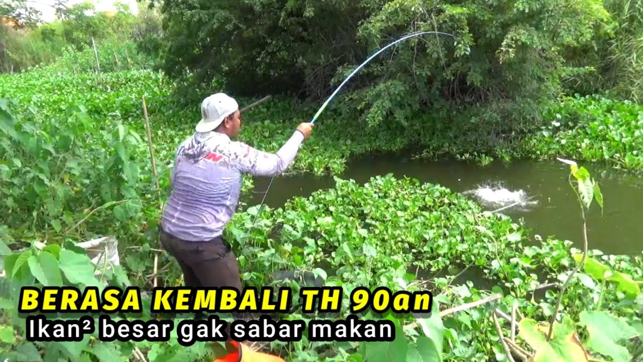 SPOT MANCING APA PASAR IKAN! Liaran kayak kolam