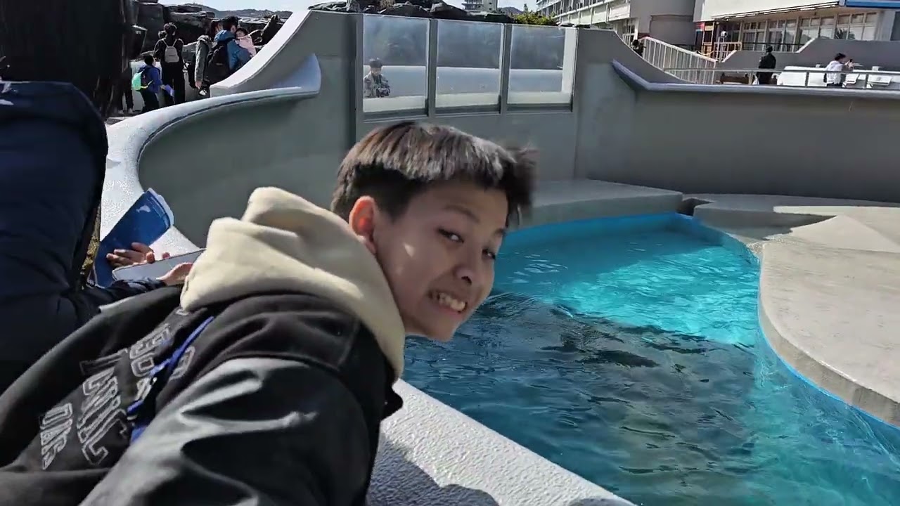 Kamogawa Sea World : Tokyo trip day 1 10/02/2026