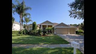 3917 Mullenhurst Drive Palm Harbor FL 34685