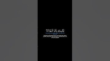سورة المائدة:الآية[١٠٧-١٠٨]#القرآن_الكريم#الفرقان #سورة_المائدة#خالد_الجهيم#القران_الكريم#قران_كريم