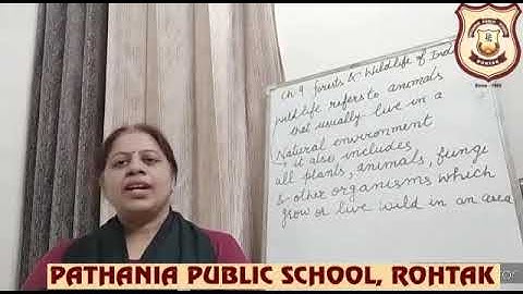 Pathania World Campus Class-4 S.St.