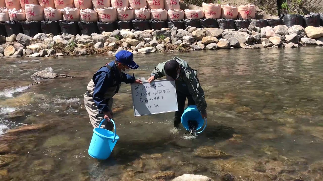 ホーム Kotsukigawagyokyo ページ