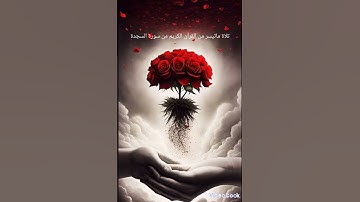 تلاوة من سورة السجدة ماتيسر #quran #اكسبلور #تلاوة  😌