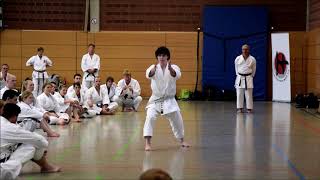 Andre Bertel Sensei - Germany 2018 Part 2 of 2 - July 2018