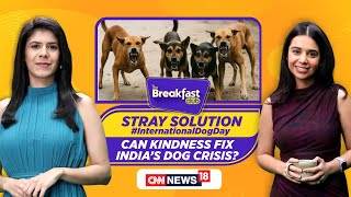 Download Lagu International Dog Day: Can Kindness Fix India's Stray Dog Crisis? | Street Dogs #thebreakfastclub MP3 Download Lagu International Dog Day: Can Kindness Fix India's Stray Dog Crisis? | Street Dogs #thebreakfastclub MP3