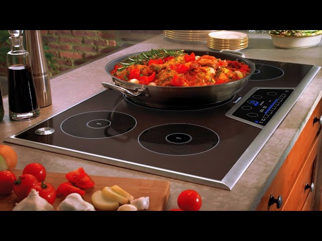 4 Best Electric and Induction Cooktops of 2024 - Reviewed