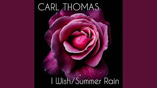 Summer Rain (Re-Recorded - Instrumental)