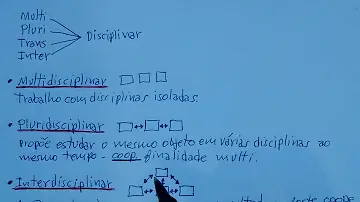 O que é pluridisciplinaridade e exemplos?