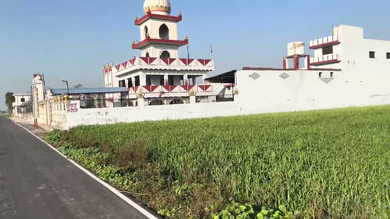 My first mini vlog | #1 ਸੋਹਣੇ ਖੇਤ ਸੋਹਣਾ ਪੰਜਾਬ #like #nature #musicgenre #love #viral #vlog #travel 