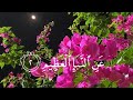 سورة النبأ القاريء عبدالرحمن مسعد سورة النبأ القاريء عبدالرحمن مسعد