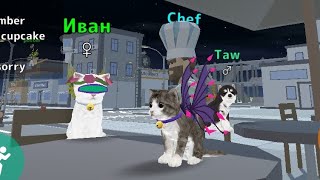 Role-Playing Cat Simulator Online Myan The Game Is Back To Fun