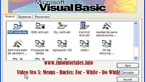 Curso de Visual Basic 6.0 - Video Nro 5 Bucles: For - Do While Loop - do Loop While