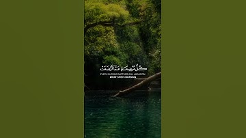 سورة الحج | ماهر المعيقلي
