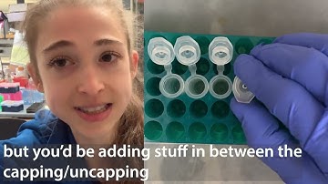 Practical lab tips for processing lots of samples