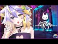 Straynyanijisanji en  aster arcadia