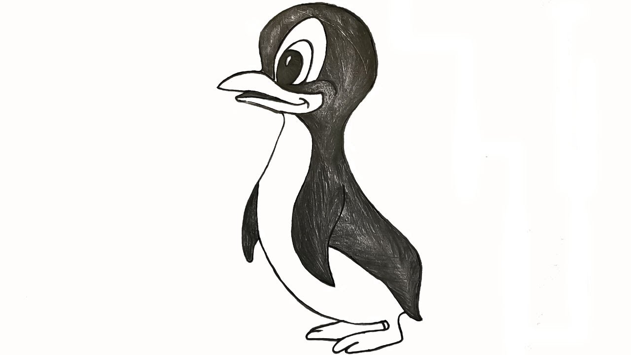 penguin pencil sketch