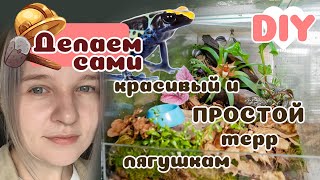Простой и красивый вариант террариума для древолаза! Простой и красивый вариант террариума для древолаза!