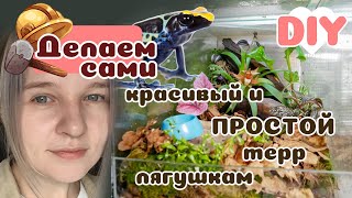 Простой и красивый вариант террариума для древолаза!