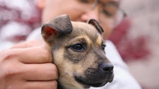People & Pets Belong Together
