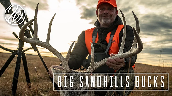 Monster Bucks: Hunting the Rut in the Sandhills