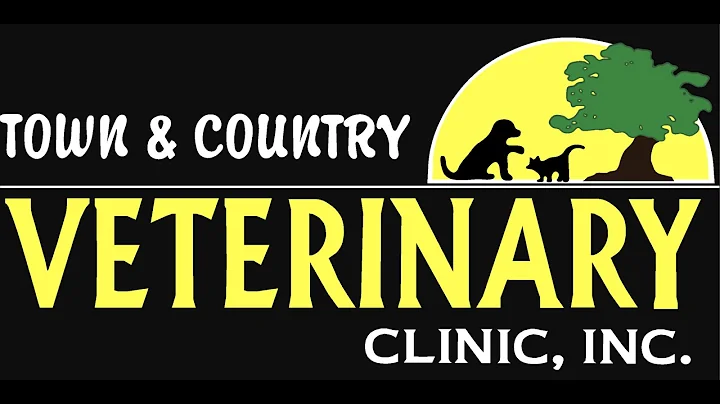 Fleas, Ticks, & COVID-19 pet concerns - Town & Cou...