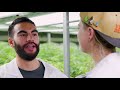 Inside America’s Top Organic Cannabis Farm: Oregon’s Yerba Buena