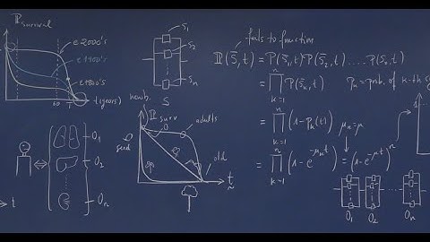 Principles of Biological Design - Theory 19 - Ageing, Mathematical Models