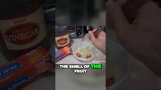 How Fast Can You Tell Whats Happening? #secret
Bet you didnt know what was happening until the very end. Check This Out: Did you know theres a simple trick to get rid of pesky fruit flies? How Fast Can You Tell Whats Happening? #secret