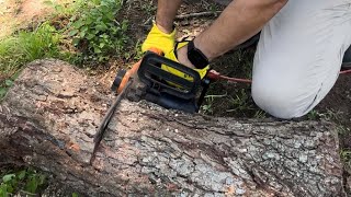 Using electric chain saw. Cutting branch. #worx #chain #tree