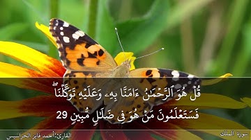 الجزء التاسع والعشرون مكتوب ومسموع بصوت القارئ المهندس أحمد فايز الحراسيس.