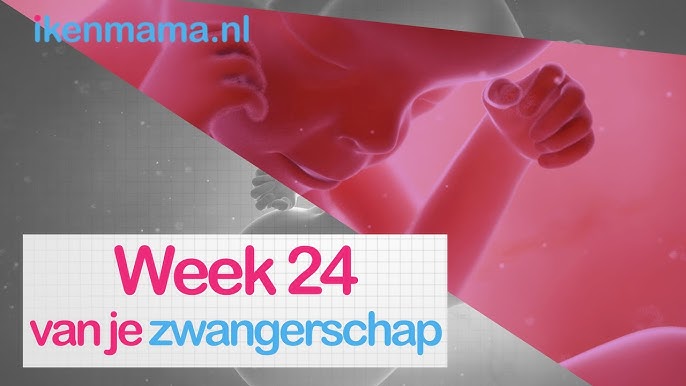 25 Weken Zwanger | Ikenmama.Nl - Youtube