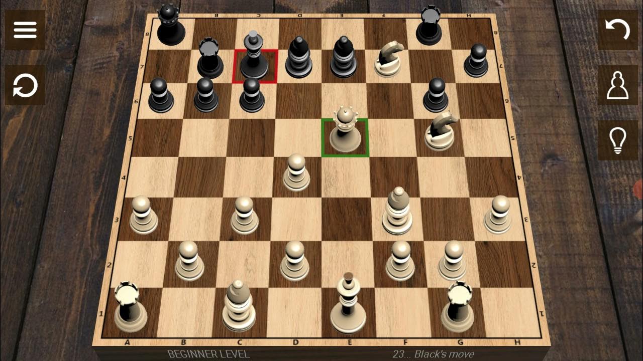 How To Play Chess For Beginners. YouTube