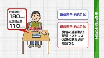 高血圧 Youtube