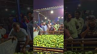 #mango #alphonso #mangoexport #wholesale #business #importexport #marketing #aam #slice #explore