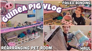 HUGE GUINEA PIG VLOG | failed bonding, supplies haul, & pet room rearranging✨