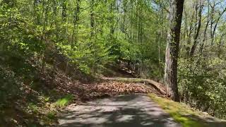 27 Deer Grass Court Arden, NC 28704