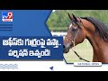 Maharashtra Government employee seeks permission to come on a Horse to office citing back pain