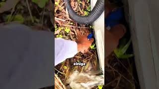 Braß & schmidt e. K. 30 Riesige überschwemmung im garten – was steckt dahinter?