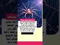 لماذا لاتلتصق العناكب بشباكها عاجل العلم ابداع 