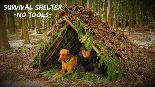 BUILD A SURVIVAL SHELTER WITH NO TOOLS - BUSHCRAFT PROJECT - WOODLAND ASMR