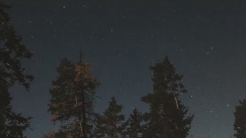 سورة التوبة (ص - ١٩٠) || القارئ الشيخ إدريس أبكر حفظه الله