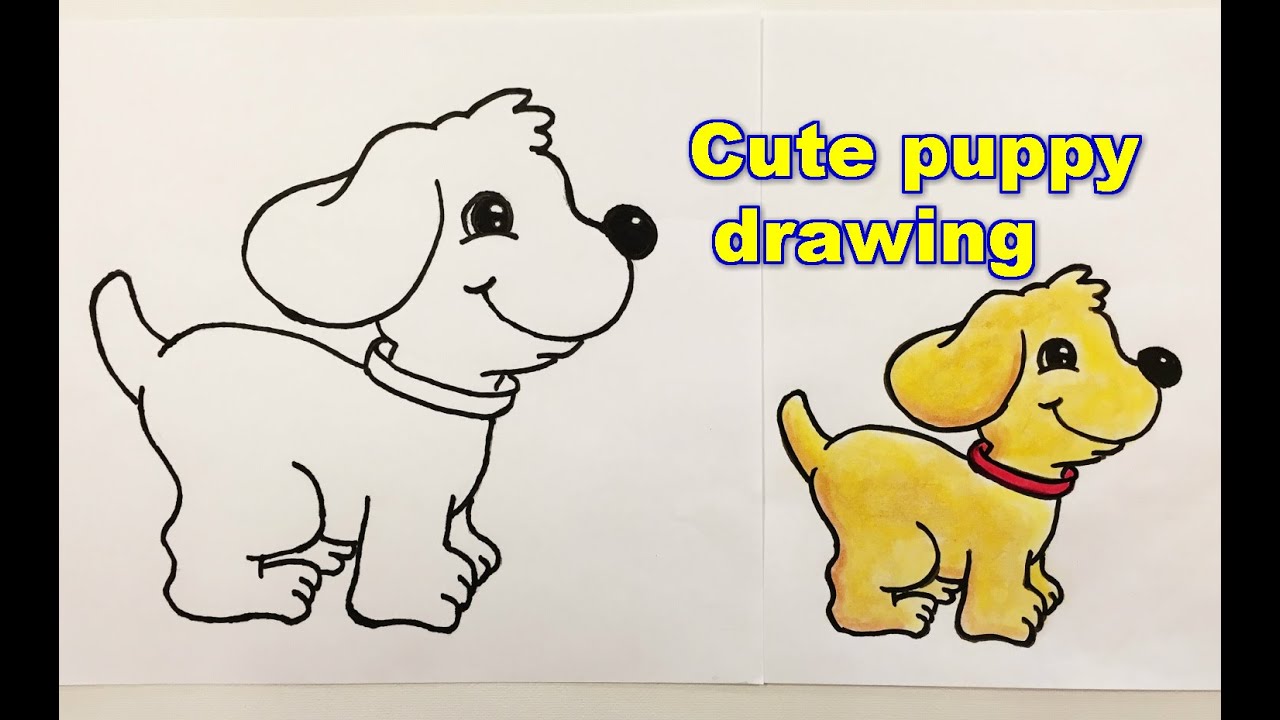 How to draw  a puppy  step by step YouTube