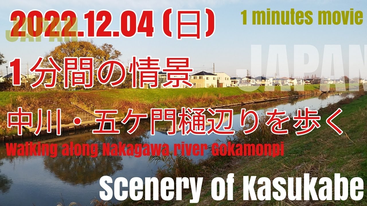 1分間movie(1分間の情景)【中川・五ヶ門樋(ごかもんぴ)を歩く】2022.12.04 = 1 minute movie (scene) Walking Nakagawa Gokamonpi