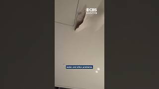 The Receipts: Residents question safety at Austin luxury tower