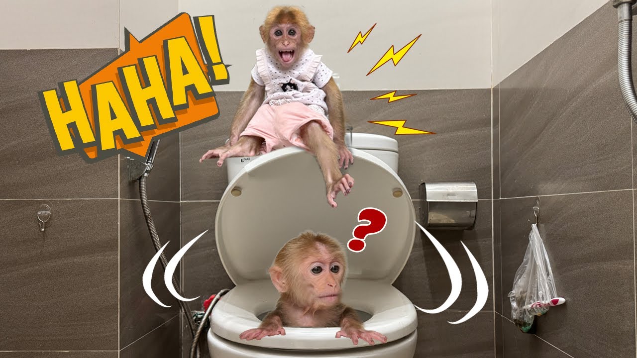 Playful Lucky – Pulling pranks on Sunny in the bathroom!