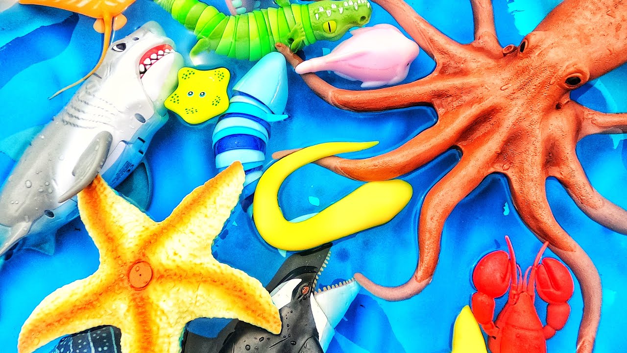 Learn sea animal names and facts for babies, toddlers, preschoolers ...