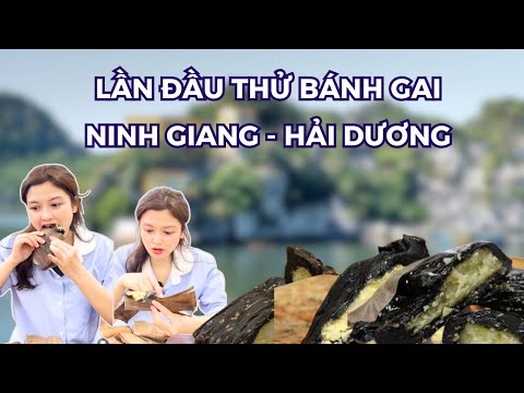 LẦN ĐẦU ĂN THỬ BÁNH GAI NINH GIANG HẢI DƯƠNG || Puta Ăn Gì