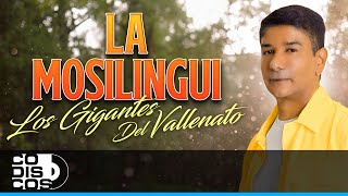 La Mosilingui, Los Gigantes Del Vallenato - Video