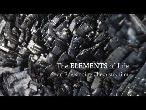 Video: Vilka är de tre elementen i livet?