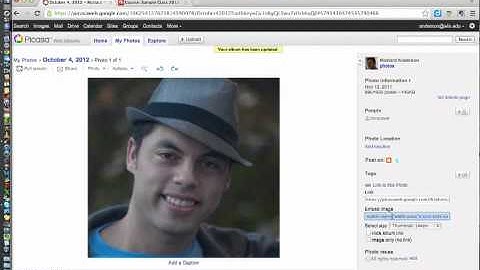 Tutorial:  Embedding images in Moodle from Picasa Web Albums